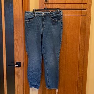 anthropologie jean